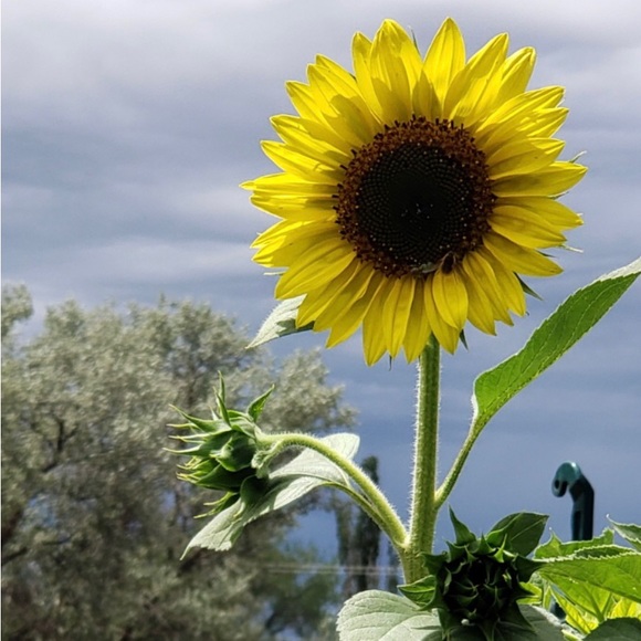 Ruth @ ModeBay 🇨🇦 ⭐️⭐️⭐️⭐️⭐️ - Picture 8 of 12